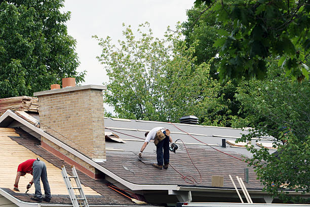 Roof Gutter Cleaning in Colonial Beach, VA