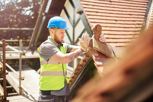 Best Roof Gutter Cleaning  in Colonial Beach, VA